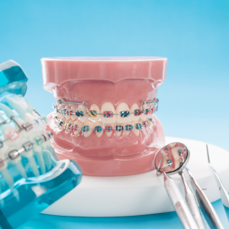 ortodont image